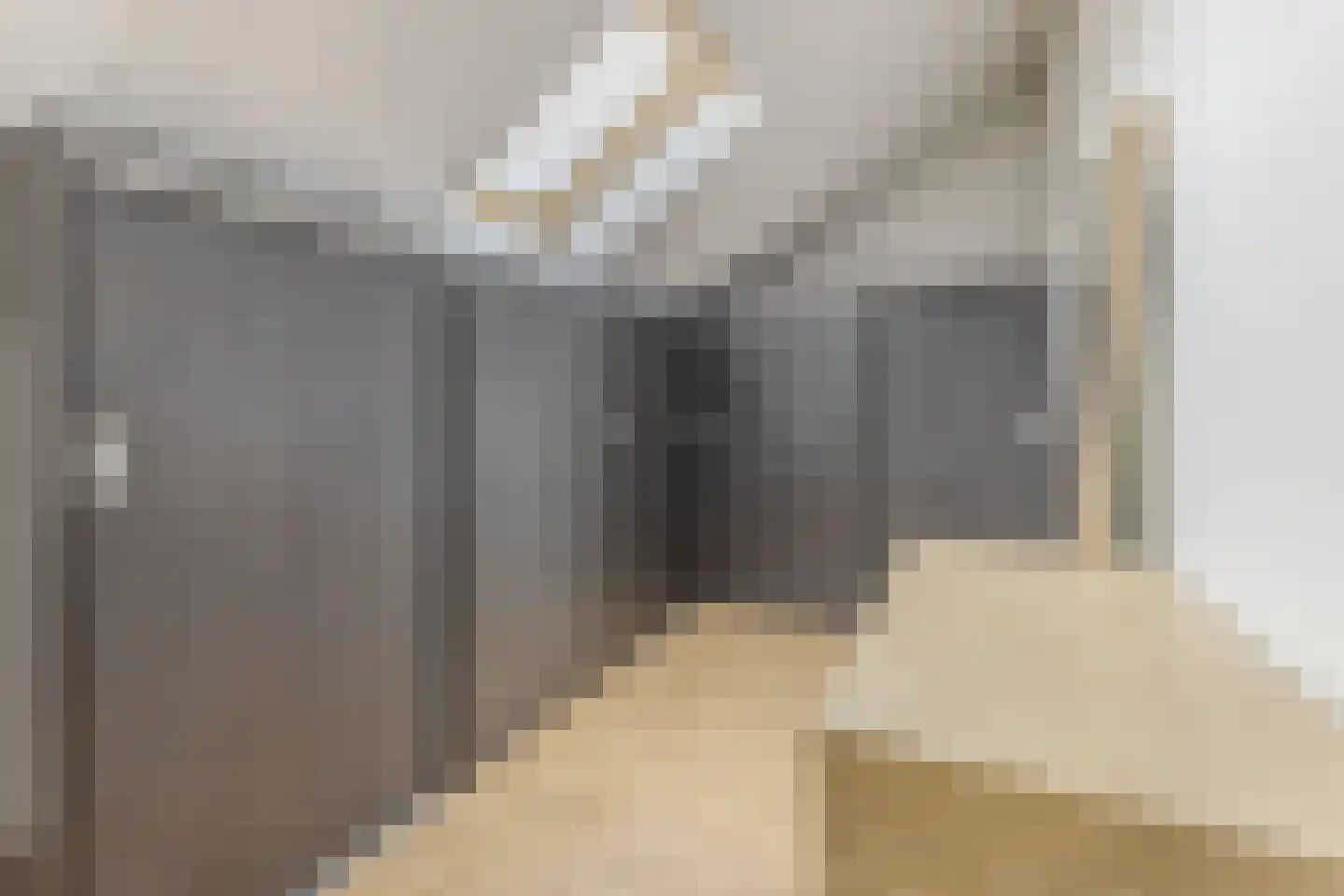 Beier 13 Veldhoven thumbnail 31