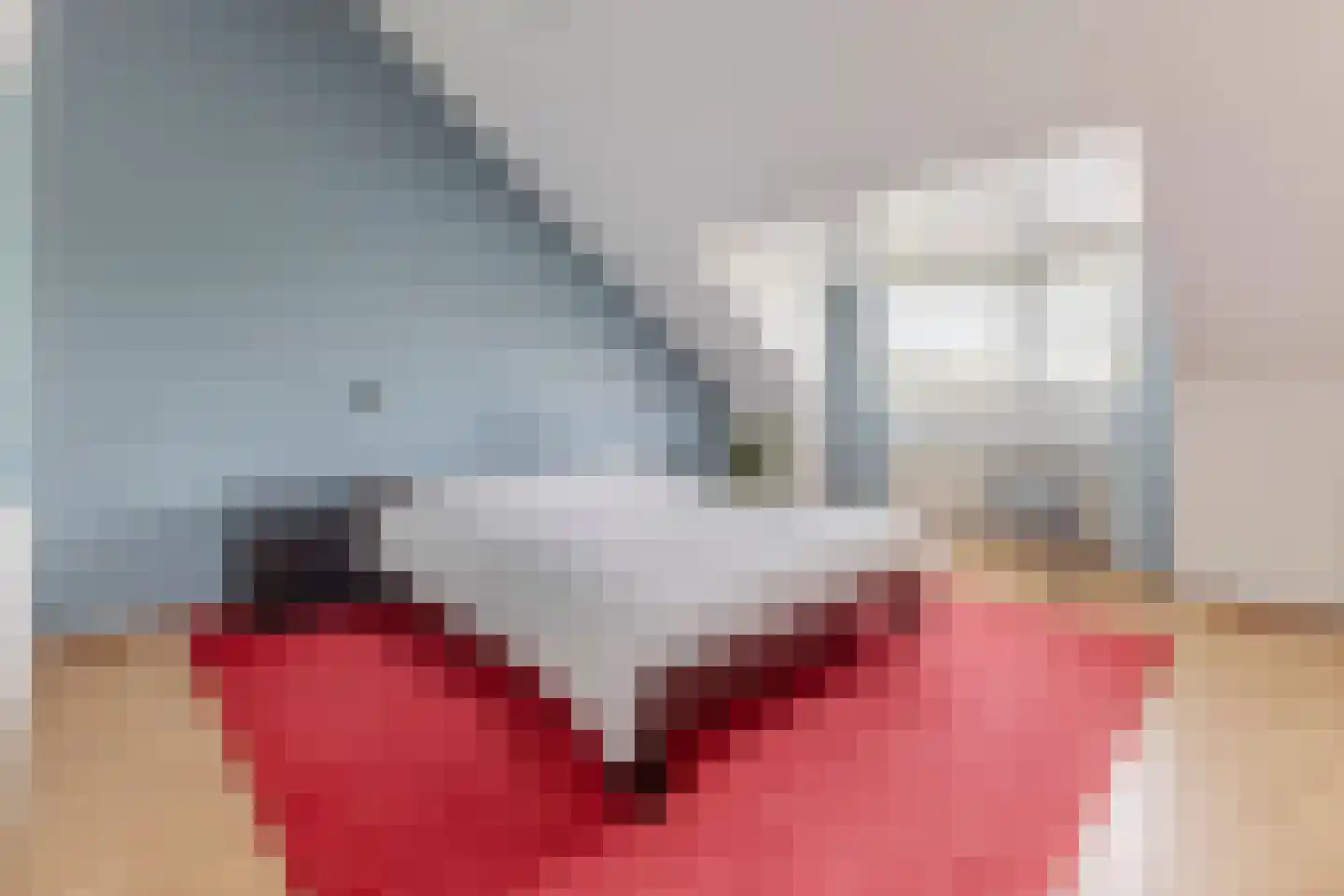 Beier 13 Veldhoven thumbnail 32