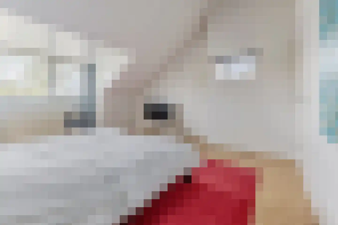 Beier 13 Veldhoven thumbnail 33