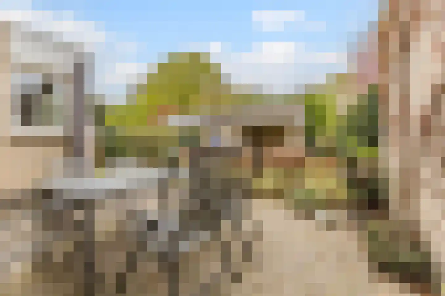 Beier 13 Veldhoven thumbnail 36