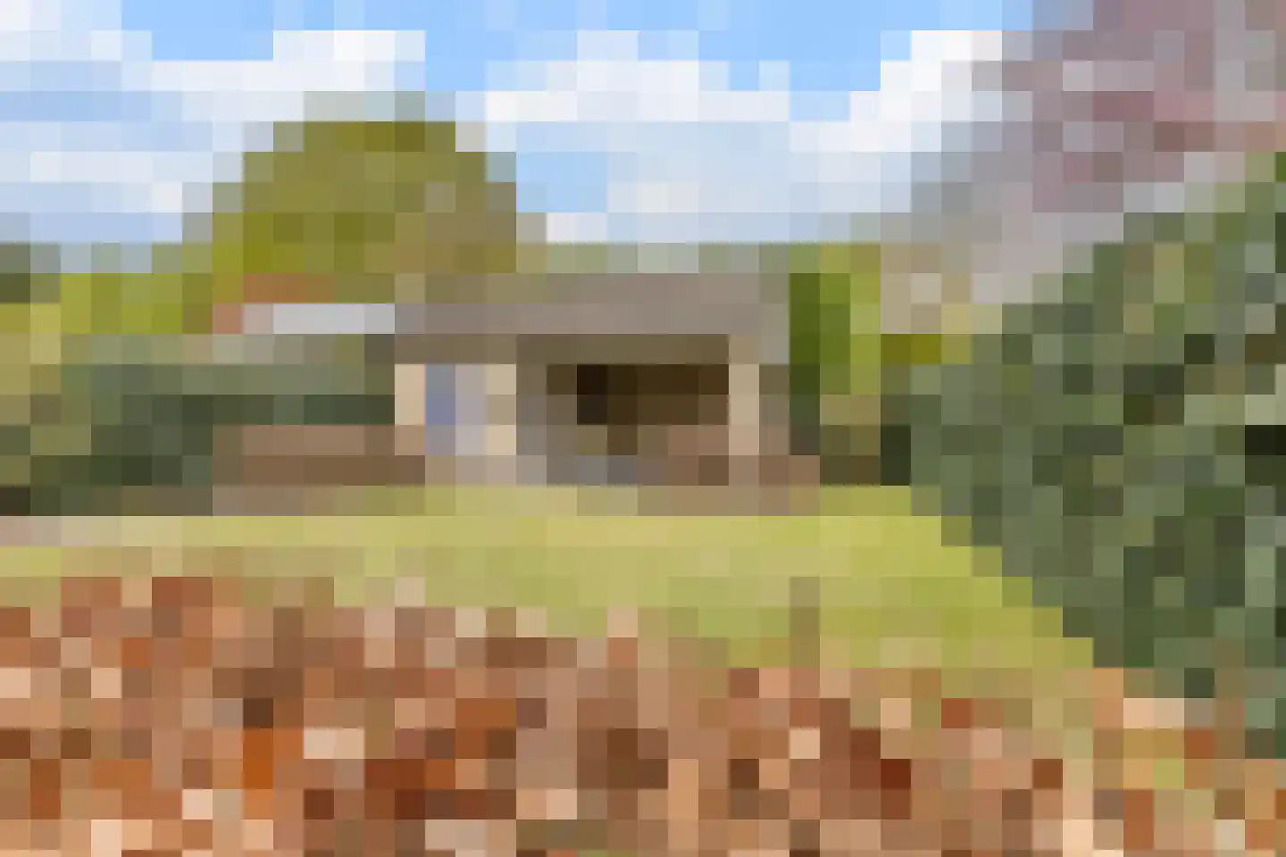 Beier 13 Veldhoven thumbnail 37
