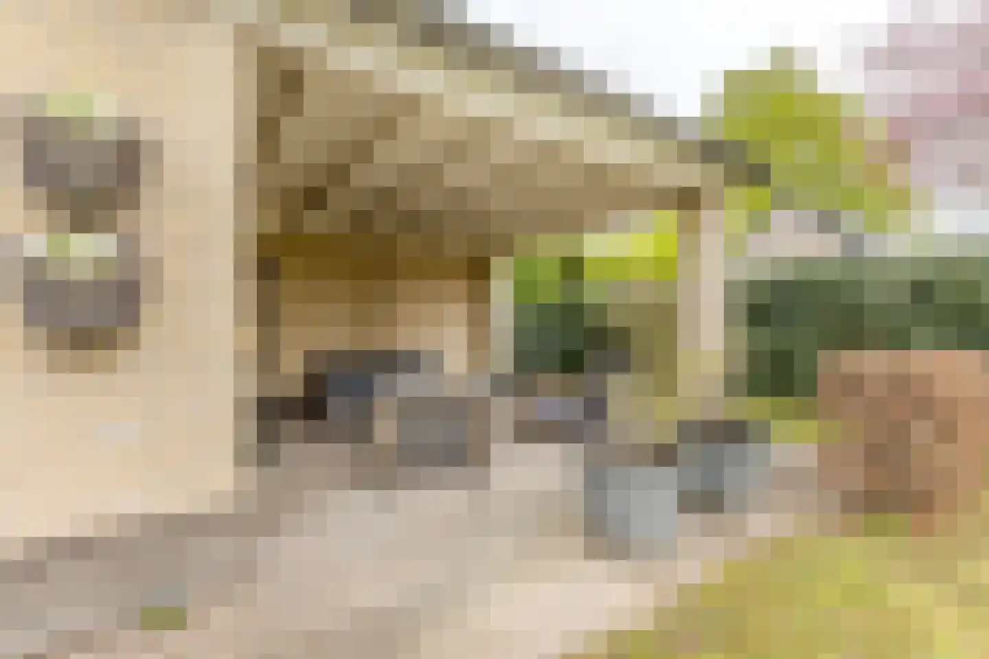 Beier 13 Veldhoven thumbnail 39