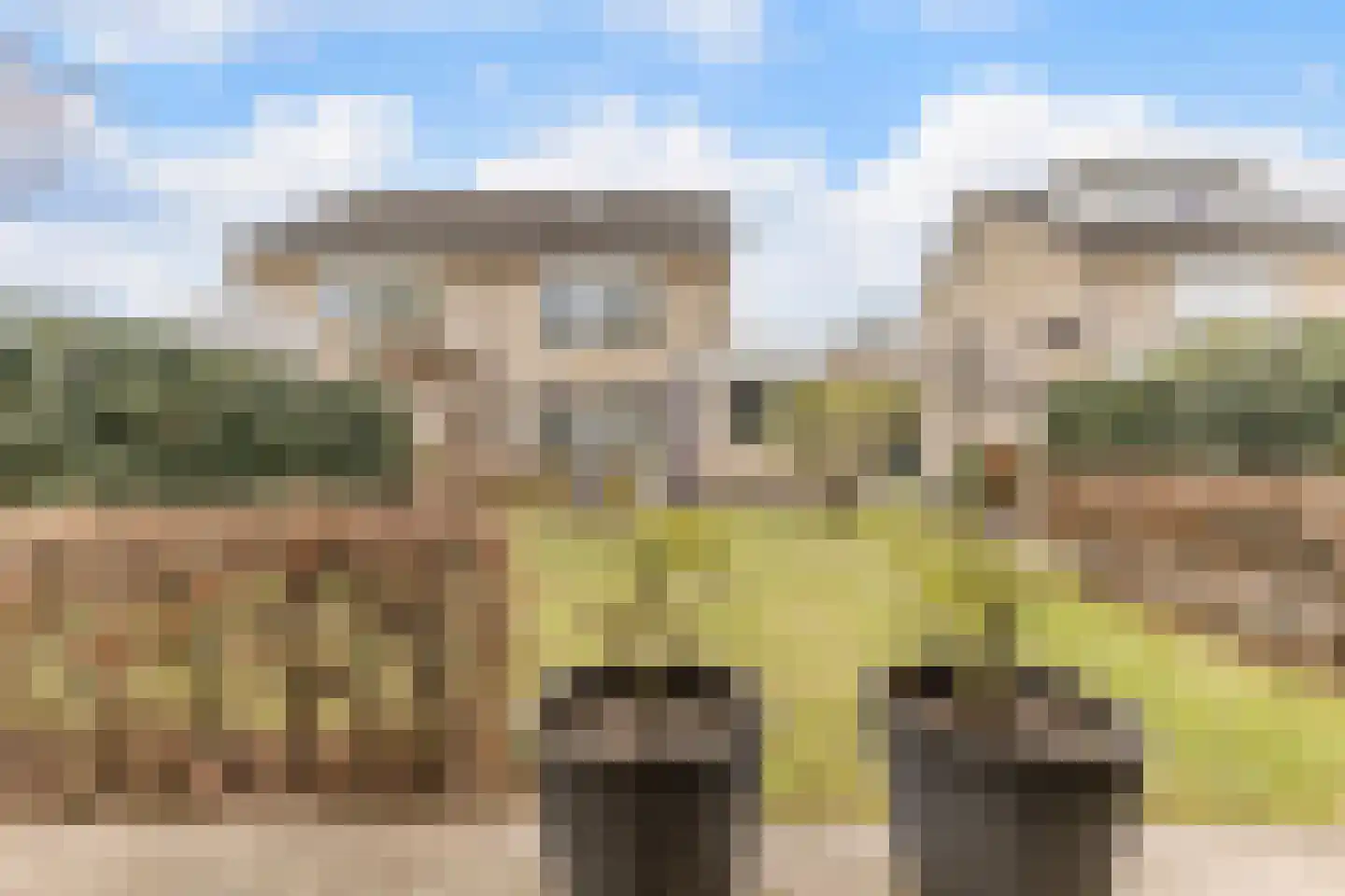 Beier 13 Veldhoven thumbnail 41