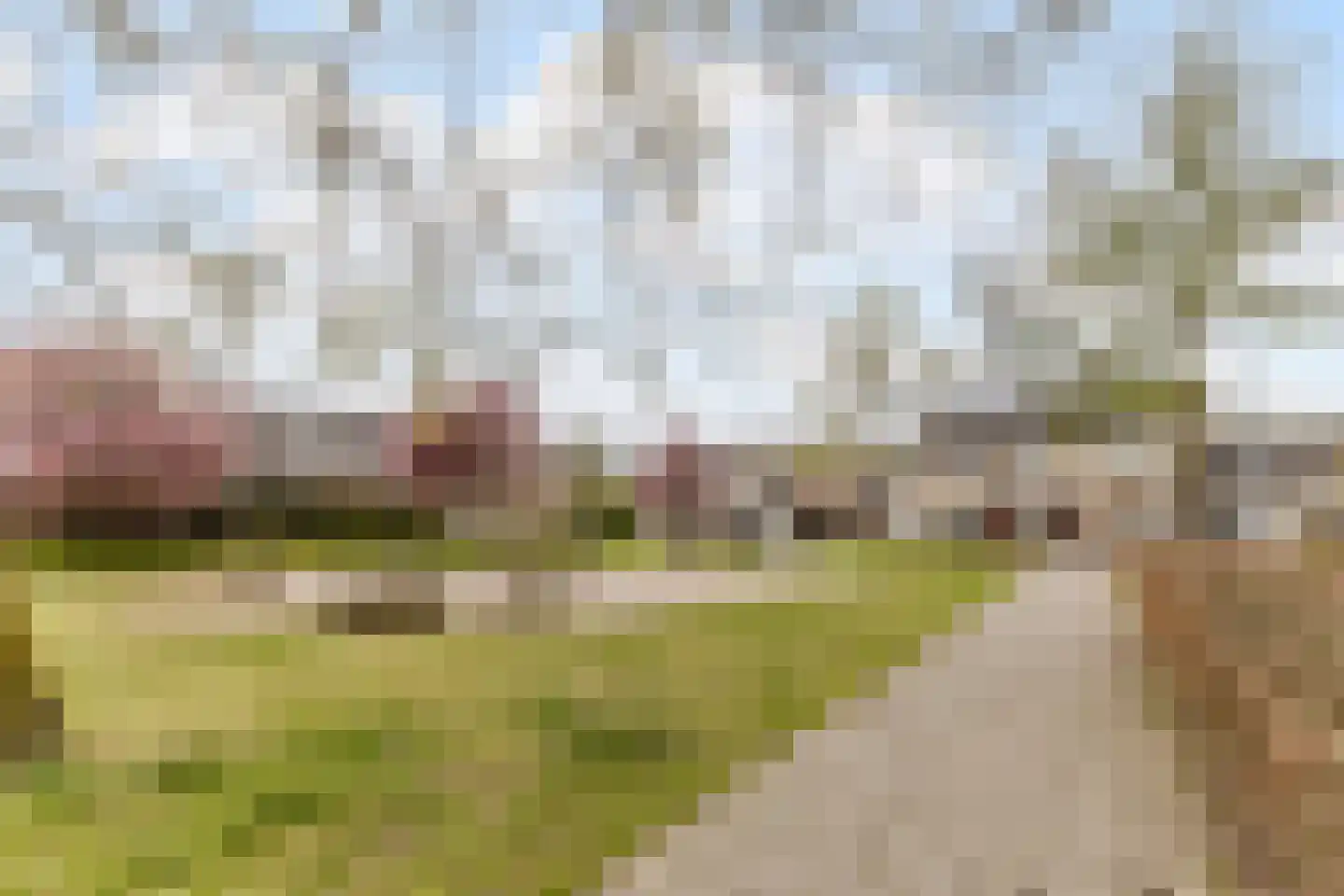Beier 13 Veldhoven thumbnail 46