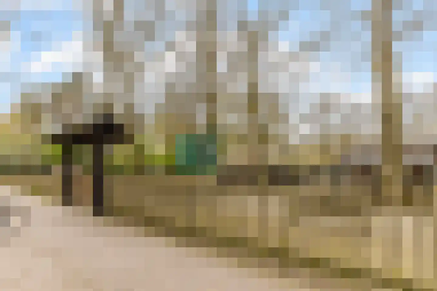 Beier 13 Veldhoven thumbnail 50