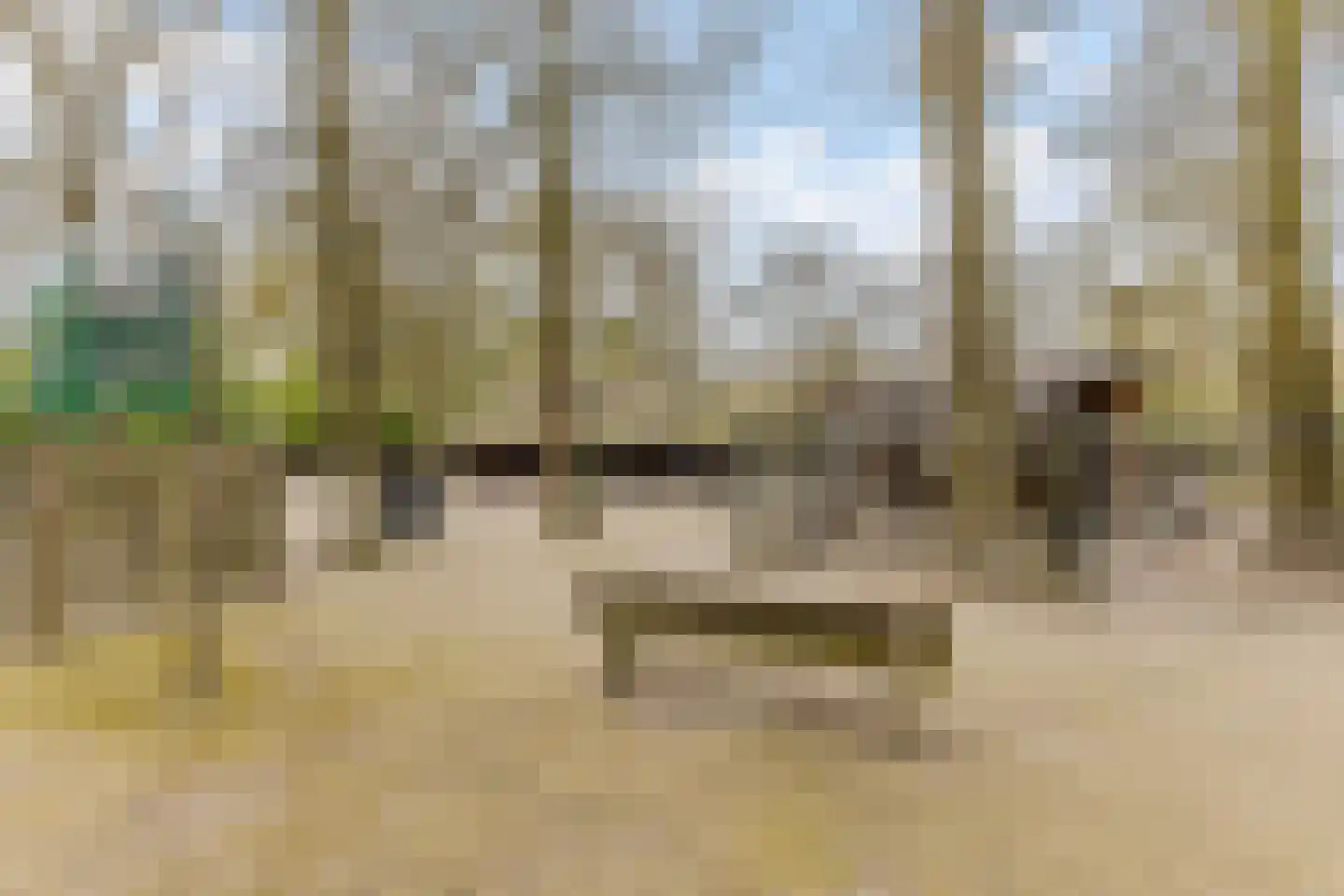 Beier 13 Veldhoven thumbnail 51
