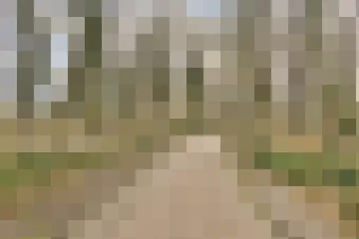 Beierlandsestraat 23 Schiedam thumbnail 33