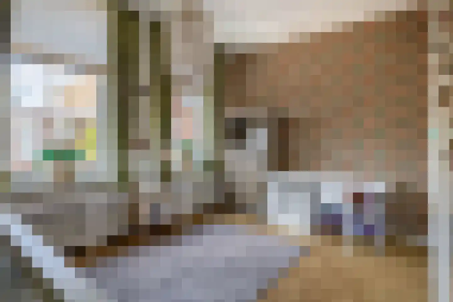 Beierlandsestraat 3 Schiedam thumbnail 23