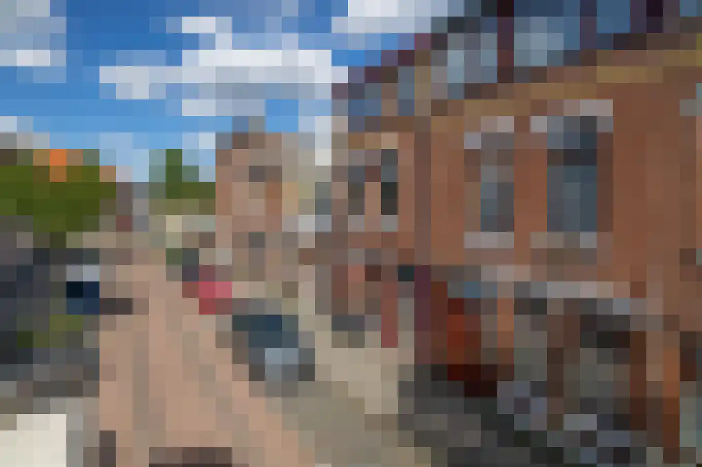 Beierlandsestraat 3 Schiedam thumbnail 37