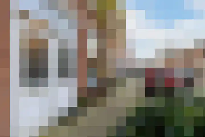 Beierlandsestraat 33 Schiedam thumbnail 8