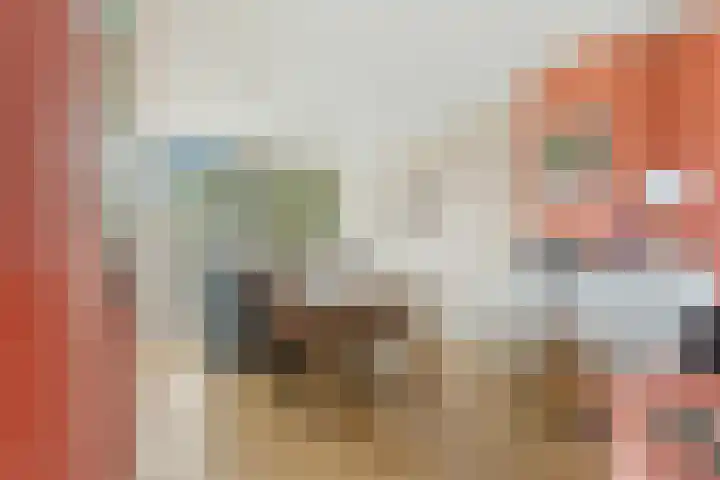 Beiersestraat 19 Ridderkerk thumbnail 8