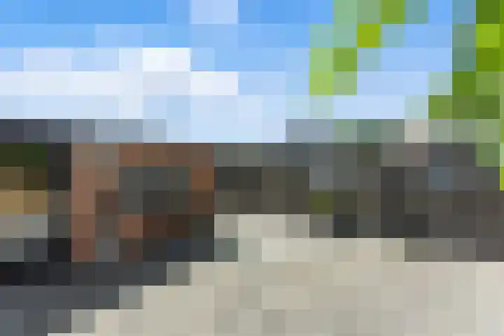 Beiersestraat 51 Ridderkerk thumbnail 30