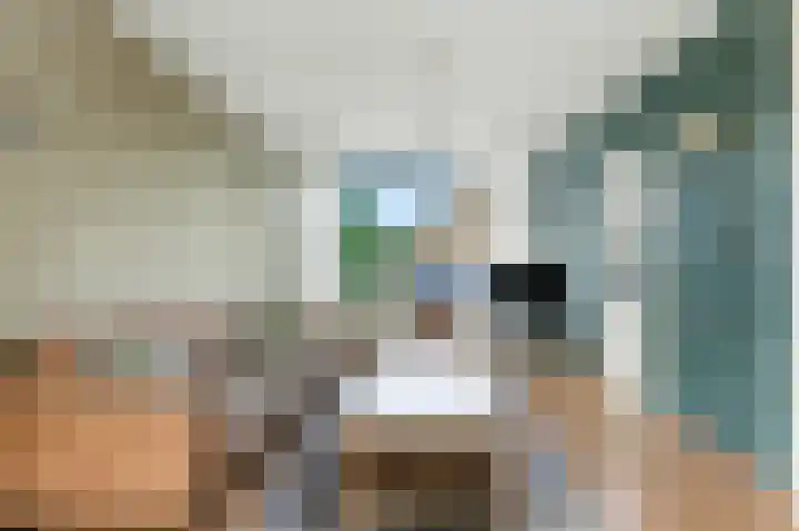 Beiersestraat 51 Ridderkerk thumbnail 4
