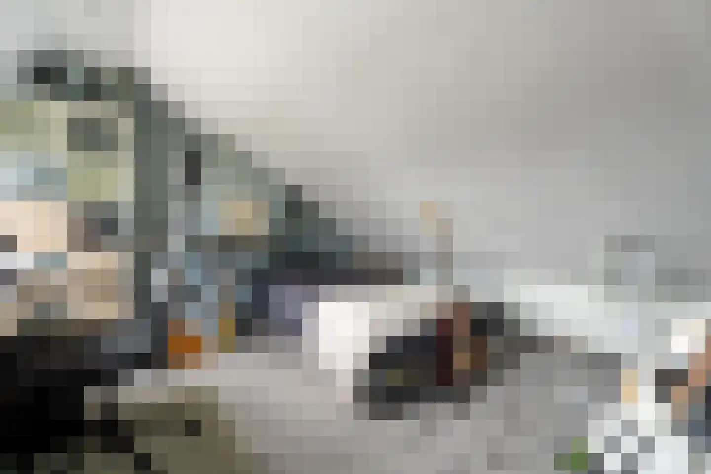 Beiersestraat 55 Ridderkerk thumbnail 26