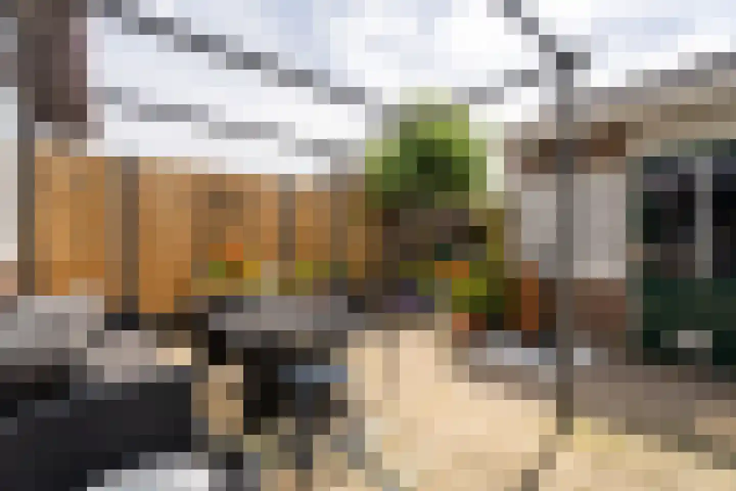 Beiersestraat 55 Ridderkerk thumbnail 4