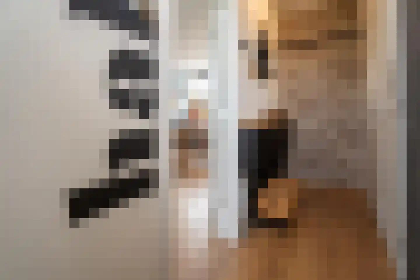 Beiersestraat 55 Ridderkerk thumbnail 7