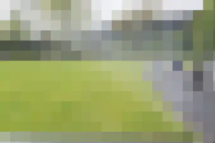 Beiersgulden 1 Dronten thumbnail 14