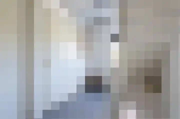 Beiersgulden 1 Dronten thumbnail 23