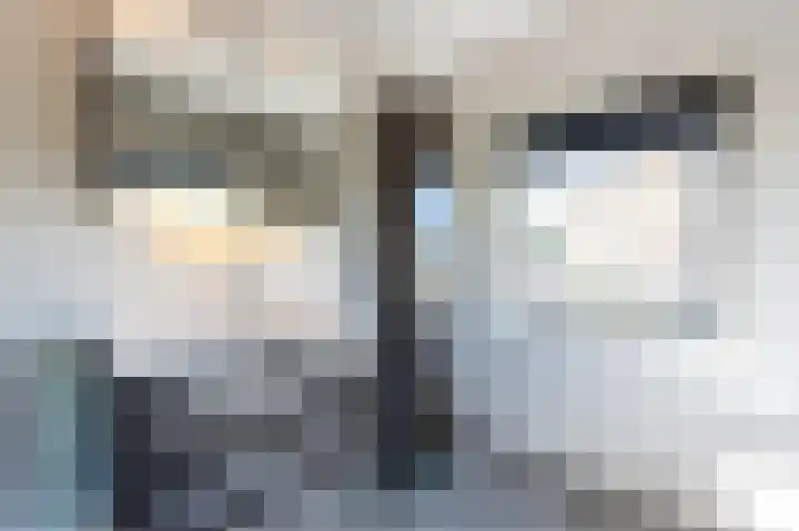 Beiersgulden 1 Dronten thumbnail 33