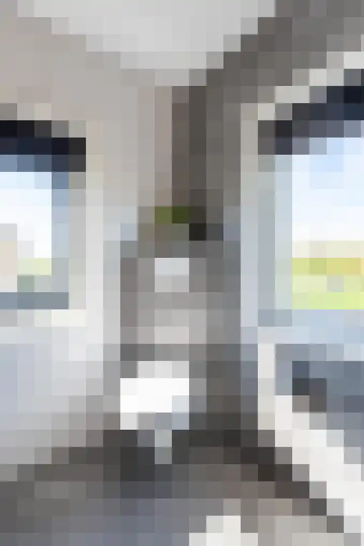 Beiersgulden 1 Dronten thumbnail 35
