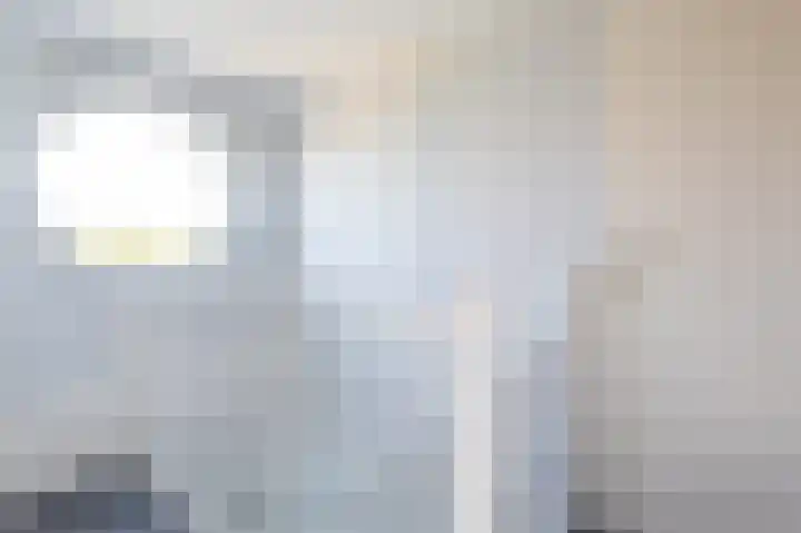 Beiersgulden 1 Dronten thumbnail 37