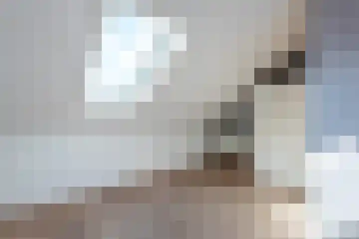 Beiersgulden 1 Dronten thumbnail 39