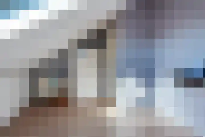 Beiersgulden 1 Dronten thumbnail 40