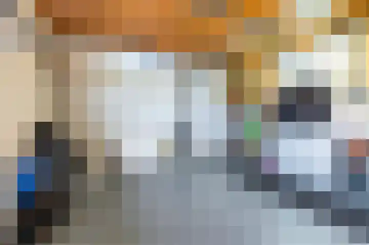 Beiersgulden 1 Dronten thumbnail 42