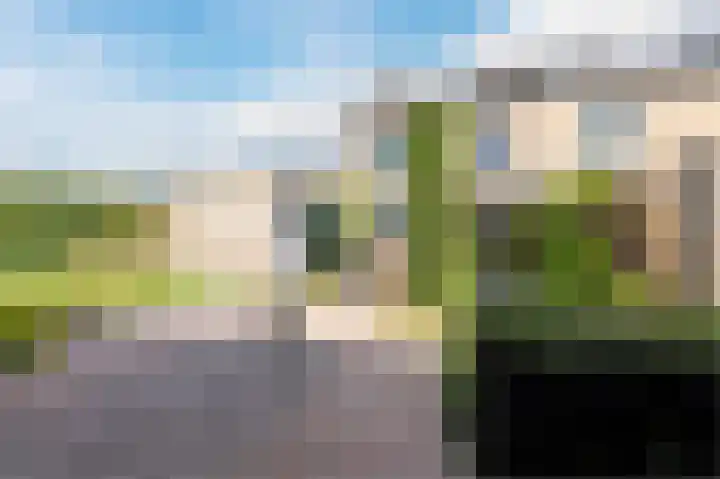 Beiersgulden 1 Dronten thumbnail 49