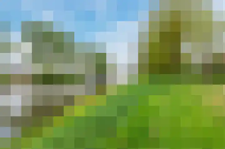 Beiersgulden 1 Dronten thumbnail 54