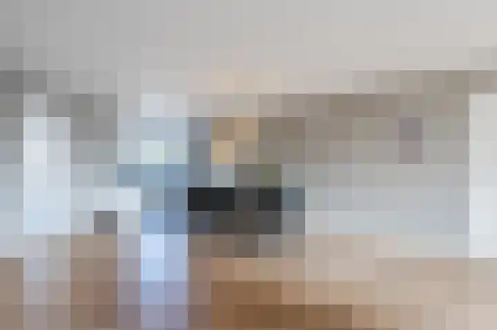 Beiersgulden 22 Dronten thumbnail 11