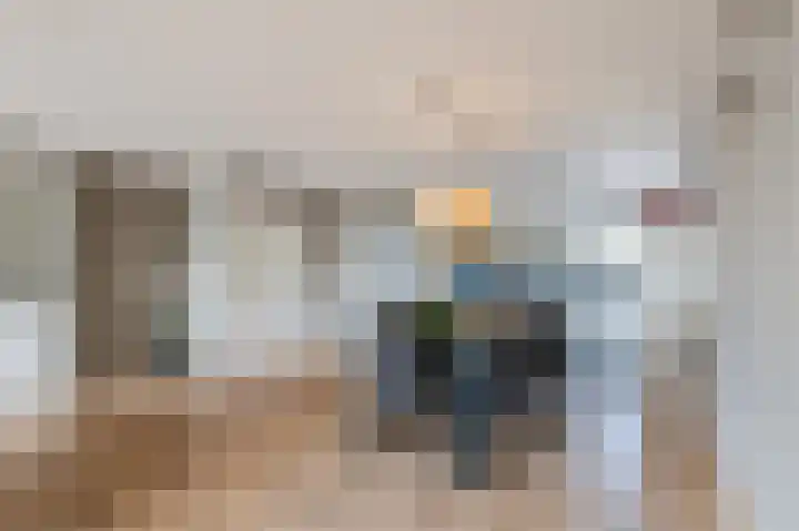 Beiersgulden 22 Dronten thumbnail 12