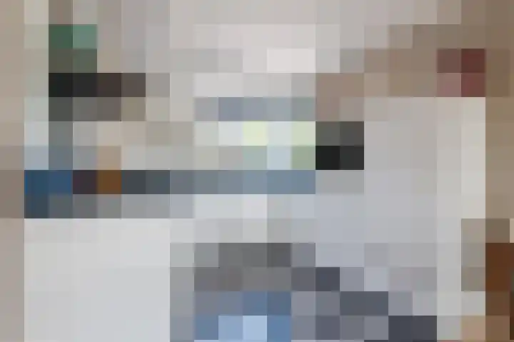 Beiersgulden 22 Dronten thumbnail 14
