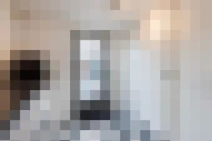 Beiersgulden 22 Dronten thumbnail 17