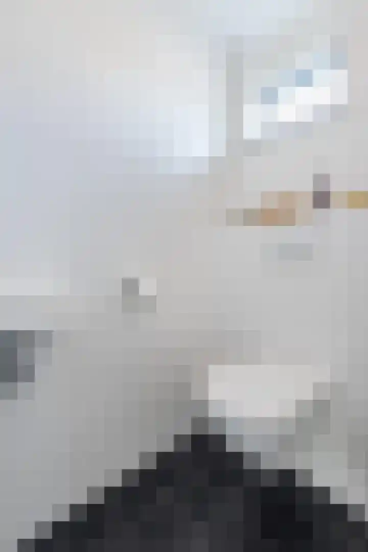 Beiersgulden 22 Dronten thumbnail 19