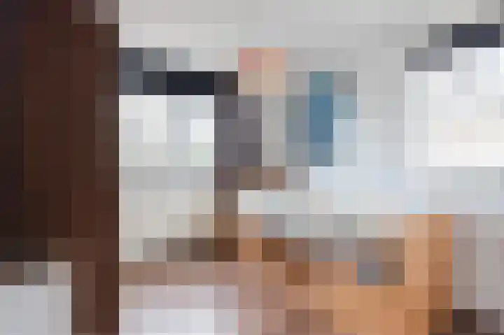 Beiersgulden 22 Dronten thumbnail 21