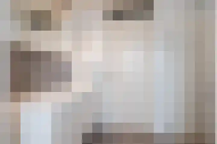 Beiersgulden 22 Dronten thumbnail 26