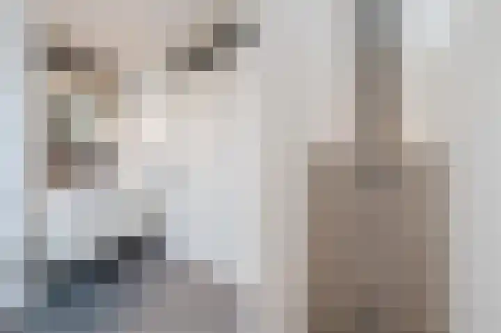 Beiersgulden 22 Dronten thumbnail 27