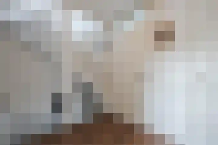 Beiersgulden 22 Dronten thumbnail 28