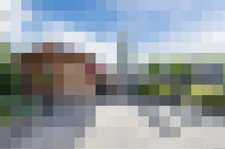 Beiersgulden 22 Dronten thumbnail 37