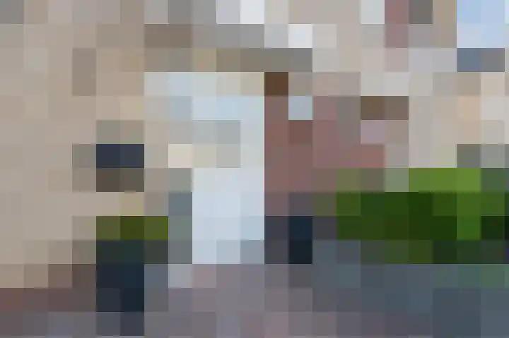 Beiersgulden 22 Dronten thumbnail 4