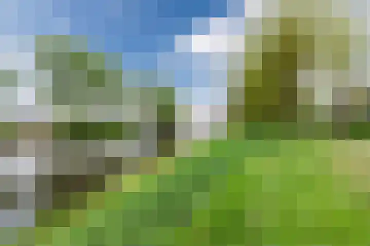 Beiersgulden 22 Dronten thumbnail 44