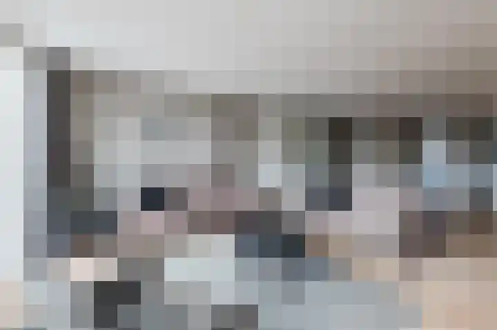 Beiersgulden 22 Dronten thumbnail 8
