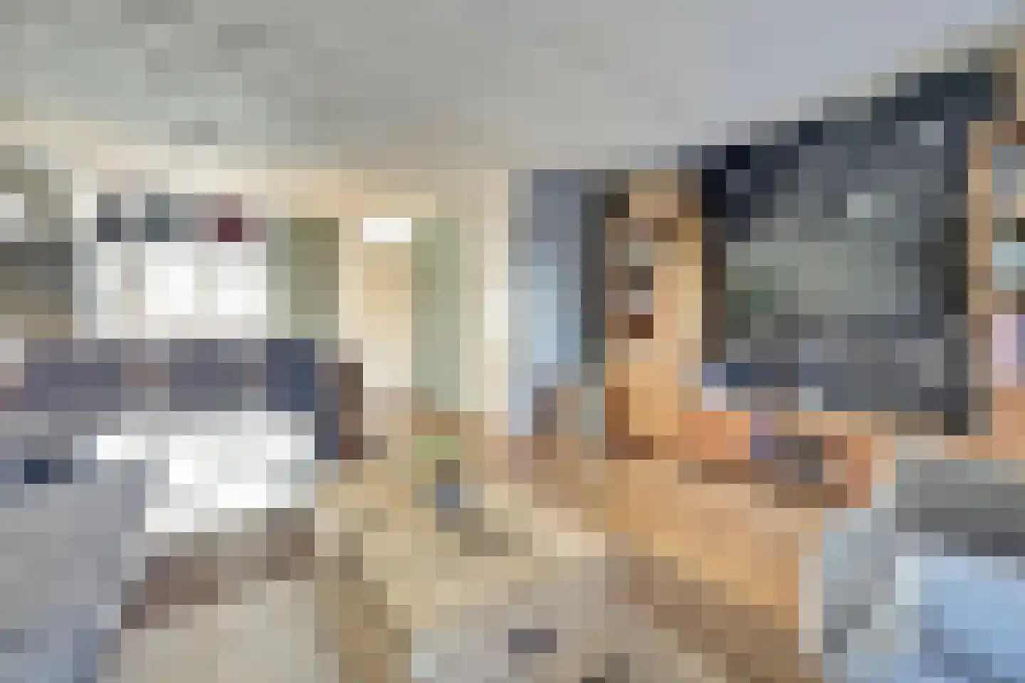 Beiersgulden 23 Dronten thumbnail 11