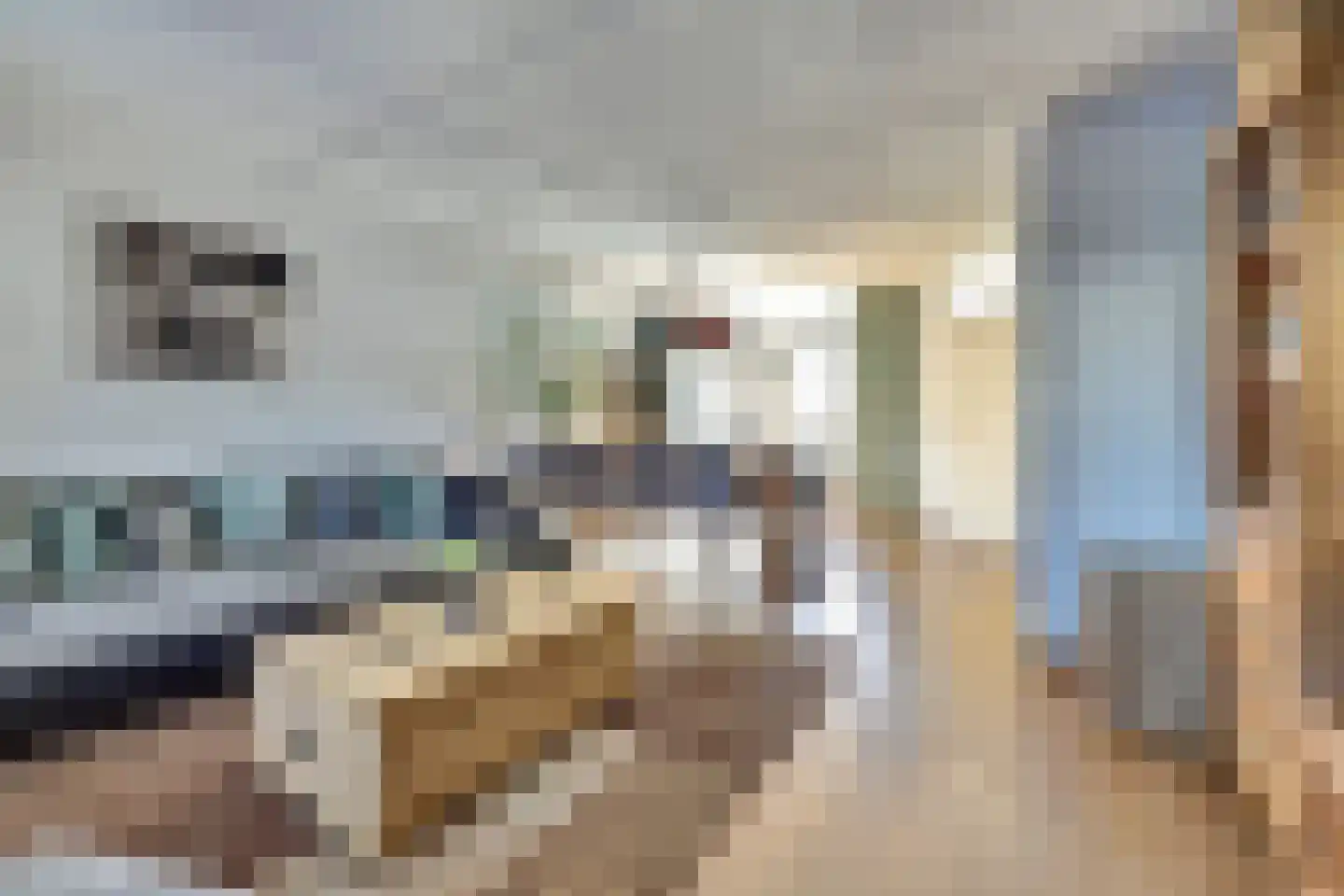 Beiersgulden 23 Dronten thumbnail 12