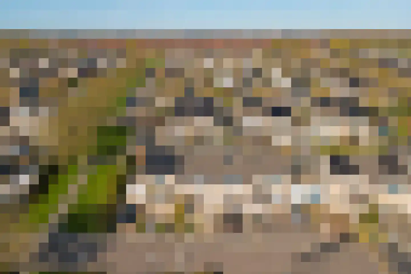 Beiersgulden 23 Dronten thumbnail 29