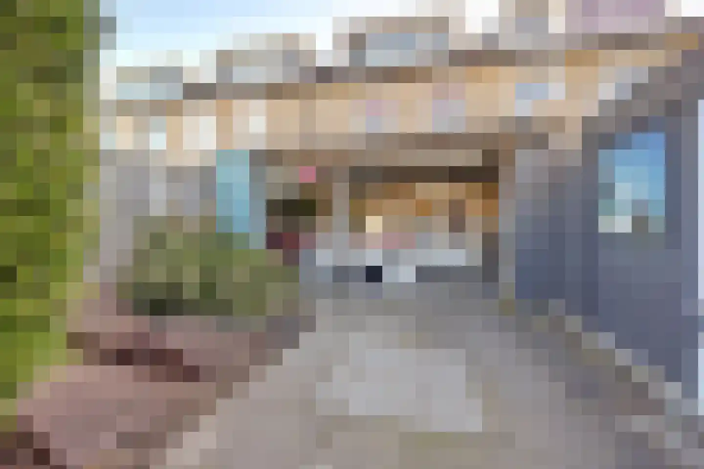Beiersgulden 23 Dronten thumbnail 32