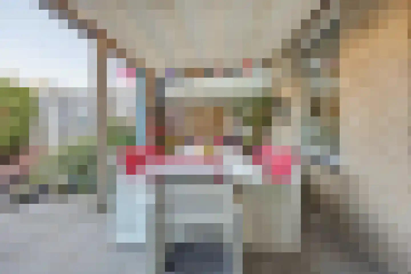 Beiersgulden 23 Dronten thumbnail 33