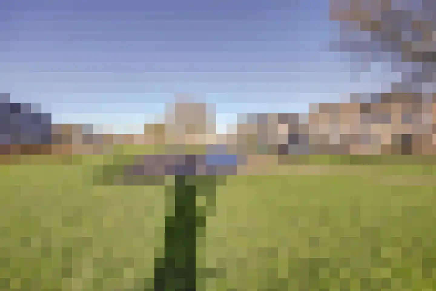 Beiersgulden 23 Dronten thumbnail 39