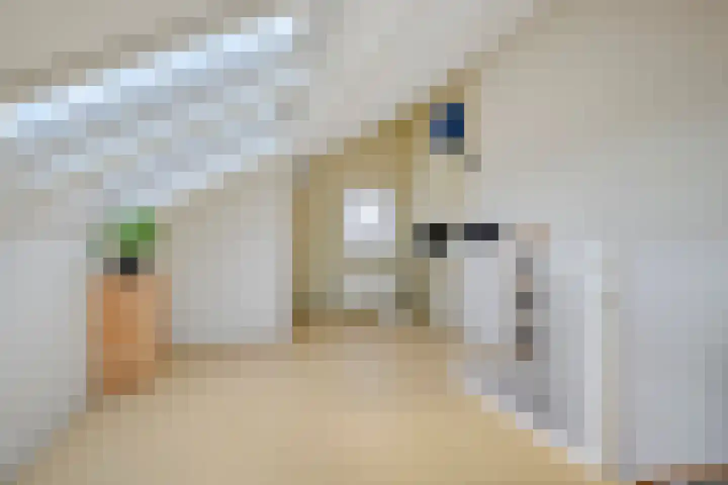 Beiersgulden 52 Dronten thumbnail 31